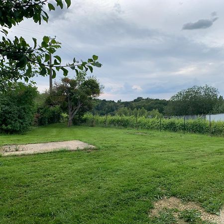 Loge De La Besnardiere Villa Mareuil-sur-Cher Luaran gambar