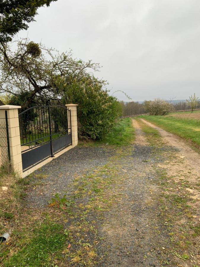 Loge De La Besnardiere Villa Mareuil-sur-Cher Luaran gambar