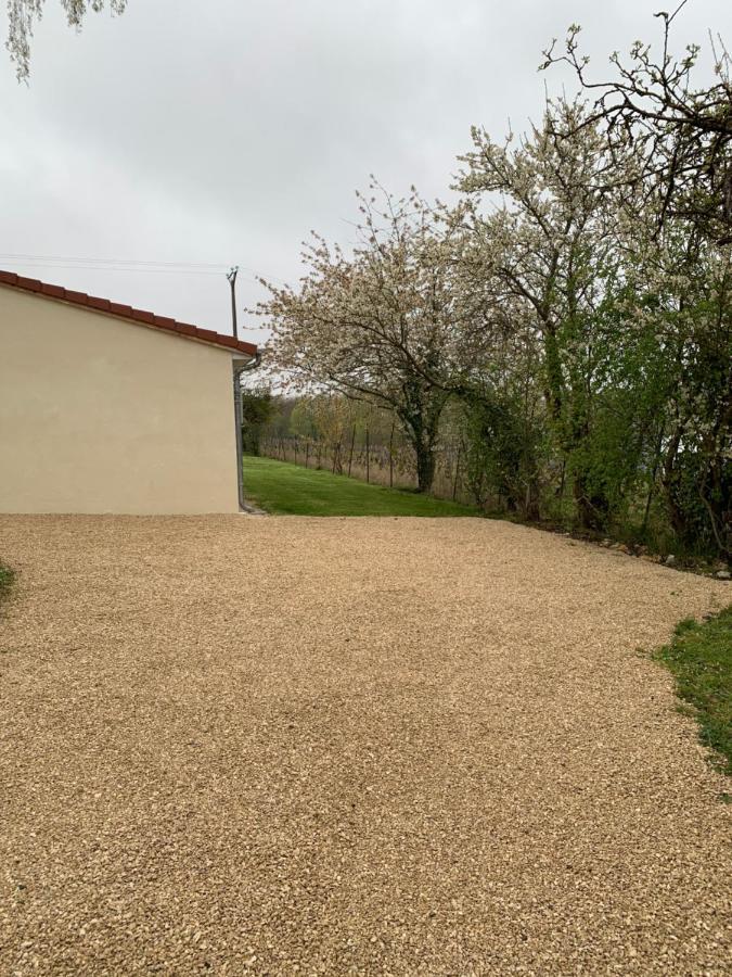 Loge De La Besnardiere Villa Mareuil-sur-Cher Luaran gambar